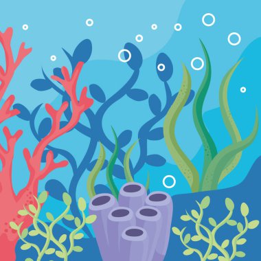 coral reef and seaweed scene