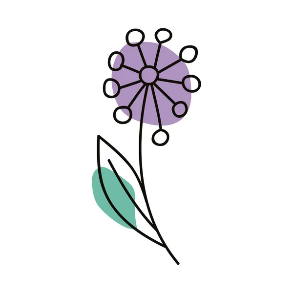 Blomma Lila Färg Linje Stil — Stock vektor