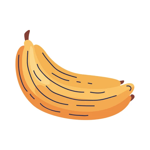 新鮮なバナナフルーツ 健康食品 — ストックベクタ
