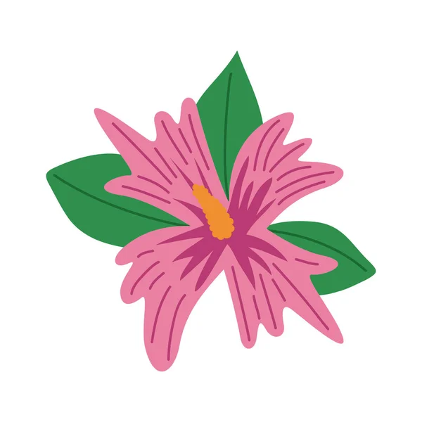 Pink Tropical Flower Nature Icon — ストックベクタ