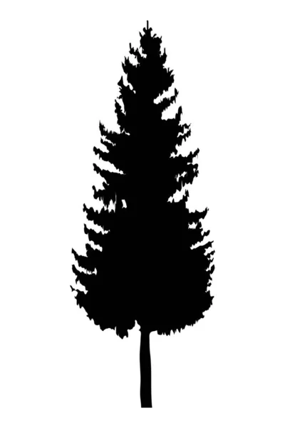 Pine Tree Plant Silhouette Icon — ストックベクタ