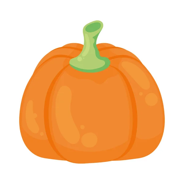 Pumpkin Seasonal Vegetable Isolated Icon — Stock Vector