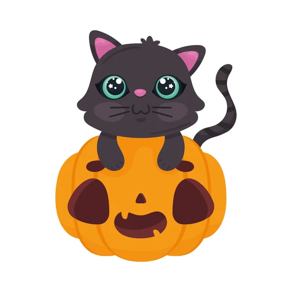 Halloween Cat Pumpkin Character — Stock Vector