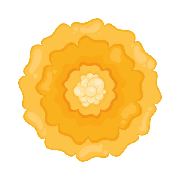 Flori Galbene Gradina Natura Icon — Vector de stoc