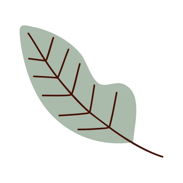 Grüne Blatt Pflanze Natur Symbol — Stockvektor