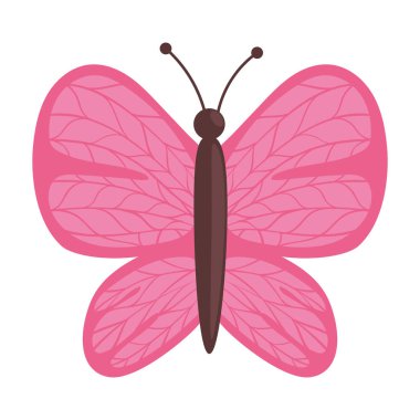 Pembe kelebek hayvan doğa ikonu