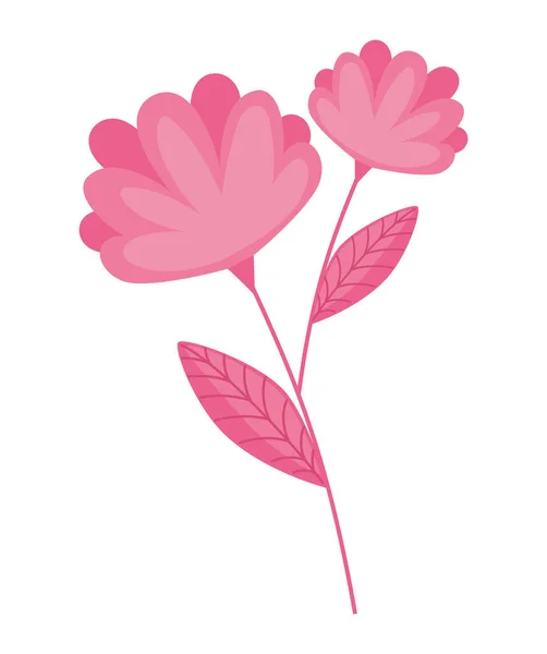 Blommor Trädgård Rosa Färg Natur — Stock vektor