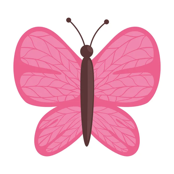 Mariposa Rosa Animal Naturaleza Icono — Vector de stock