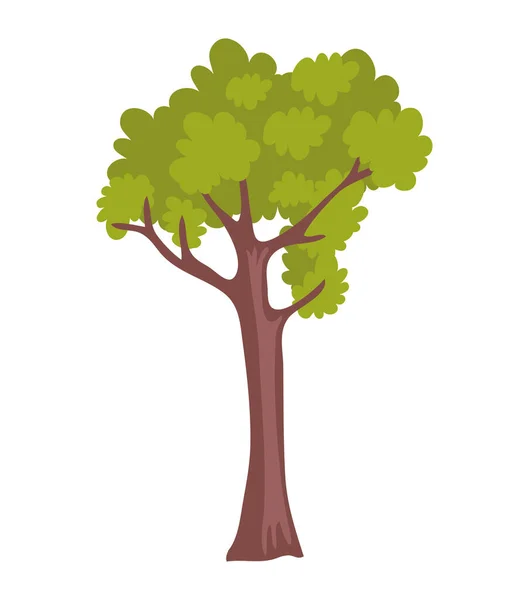 Árbol Bosque Planta Naturaleza Icono — Vector de stock