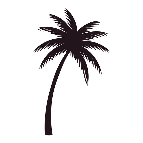 Árbol Tropical Palmera Naturaleza Icono — Vector de stock