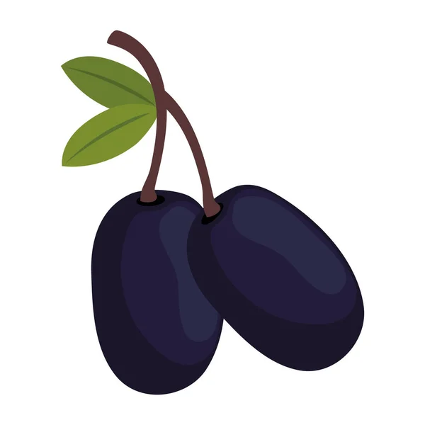 Noir Olive Graines Nature Icône — Image vectorielle