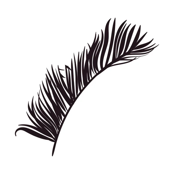 Palme Tropisches Blatt Natur Ikone — Stockvektor