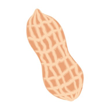 yerfıstığı tohumu organik ürün simgesi