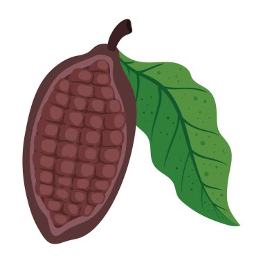 taze kakao meyve doğa ikonu