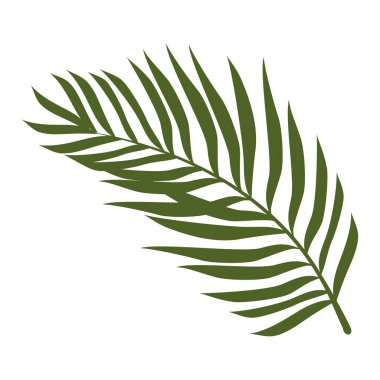 palm leaf plant foliage nature icon