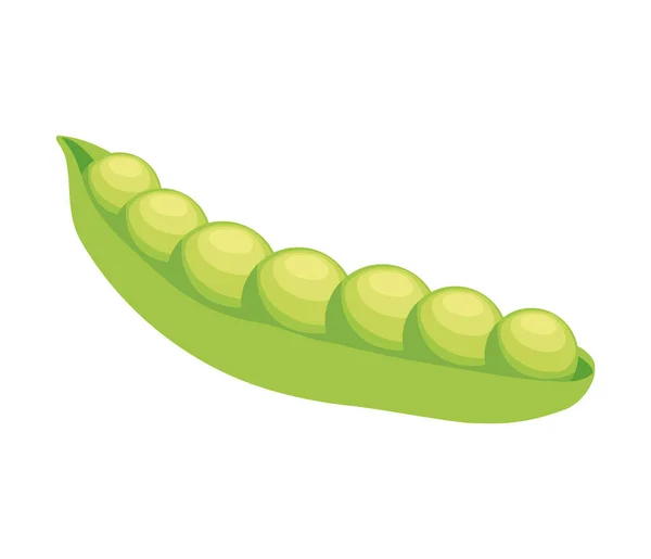 Zelené Fazole Čerstvé Zeleniny Ikona — Stockový vektor