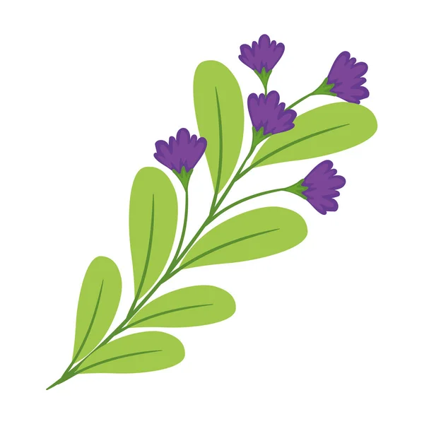 有紫色花朵图标的分枝 — 图库矢量图片