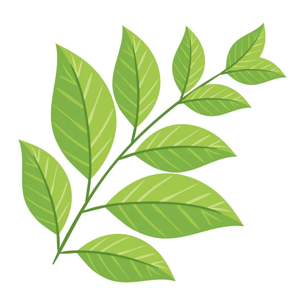 Rama Verde Planta Naturaleza Icono — Vector de stock