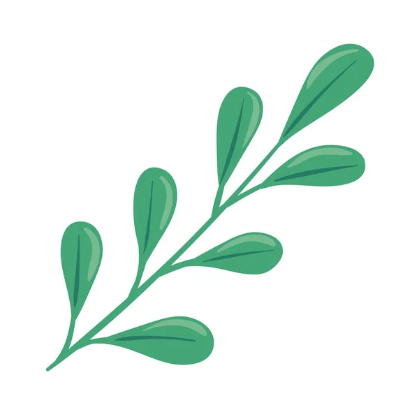 Ветви Листьями Листвы — стоковый вектор