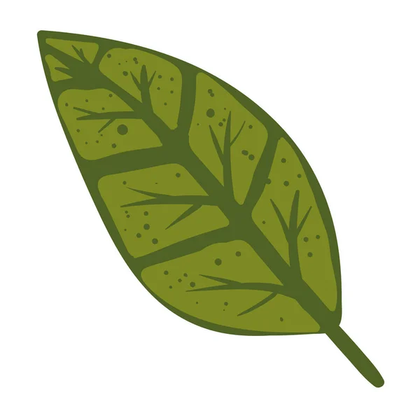 Leaf Plant Foliage Nature Icon — Wektor stockowy