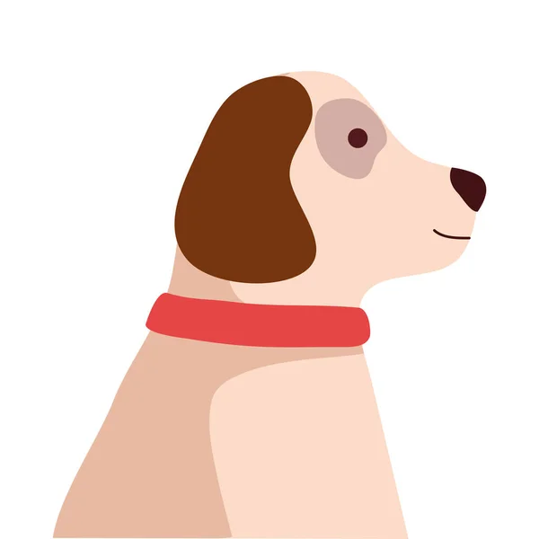 Hund Med Rött Halsband Karaktär — Stock vektor