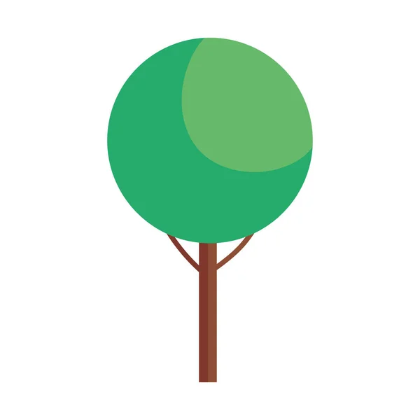 Κυκλικό Δέντρο Φυτό Δάσος Φύση Εικονίδιο — Διανυσματικό Αρχείο