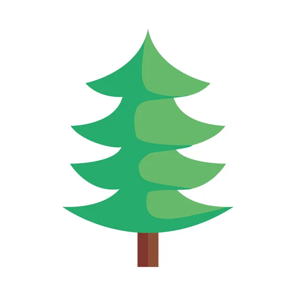 Naaldboom Plant Bos Natuur Icoon — Stockvector