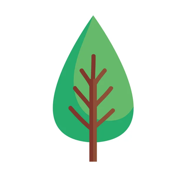Πεύκο Φυτό Δάσος Φύση Εικονίδιο — Διανυσματικό Αρχείο