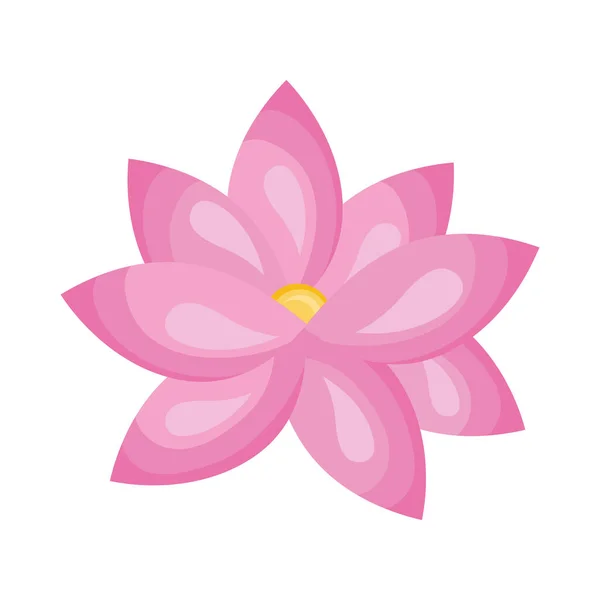 Rosa Lotusblume Dekoration Natur — Stockvektor