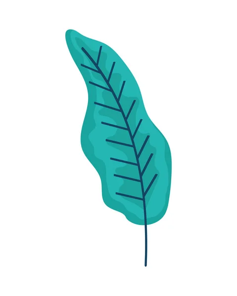 Feuille Plante Feuillage Nature Icône — Image vectorielle