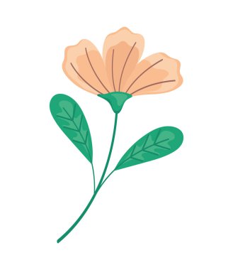 Pembe çiçek bahçesi doğa ikonu