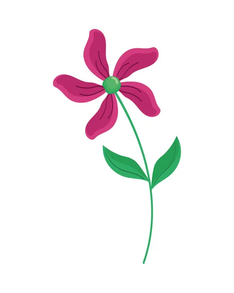 Redwine Flower Garden Nature Icon — 스톡 벡터