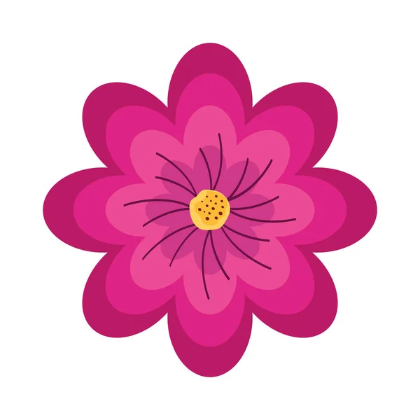 Fucshia Flower Garden Nature Icon — Stockvector