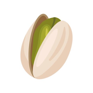 yeşil şam fıstığı ürün simgesi