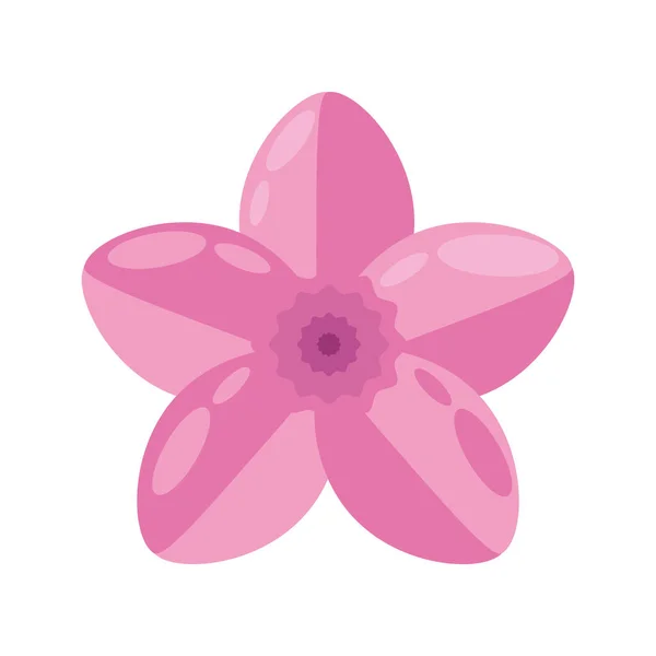 Розовый Цветок Украшения Природы — стоковый вектор