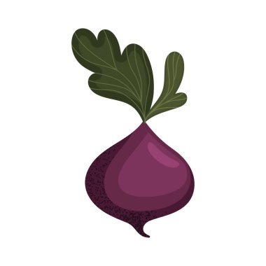 taze pancar sebzesi organik gıda