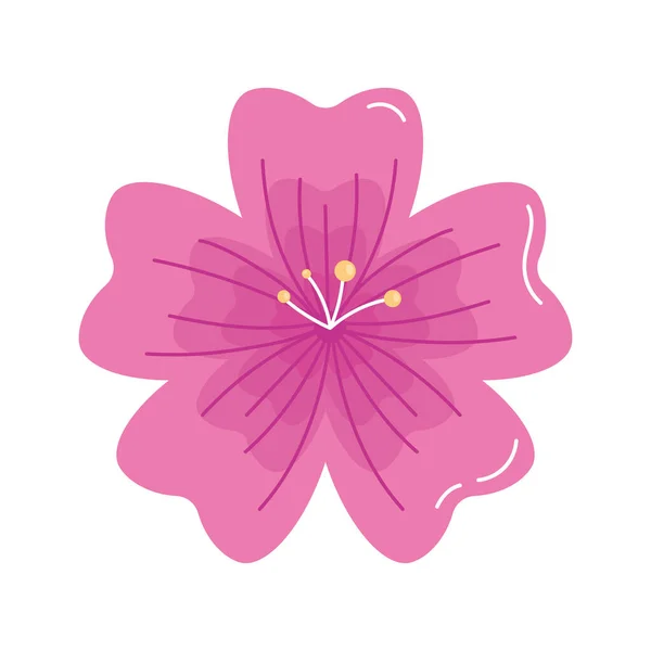Roze Lotus Bloem Natuur Icoon — Stockvector