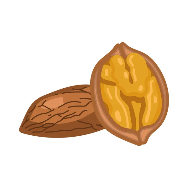 ヴァルトナッツ種子製品のアイコン — ストックベクタ