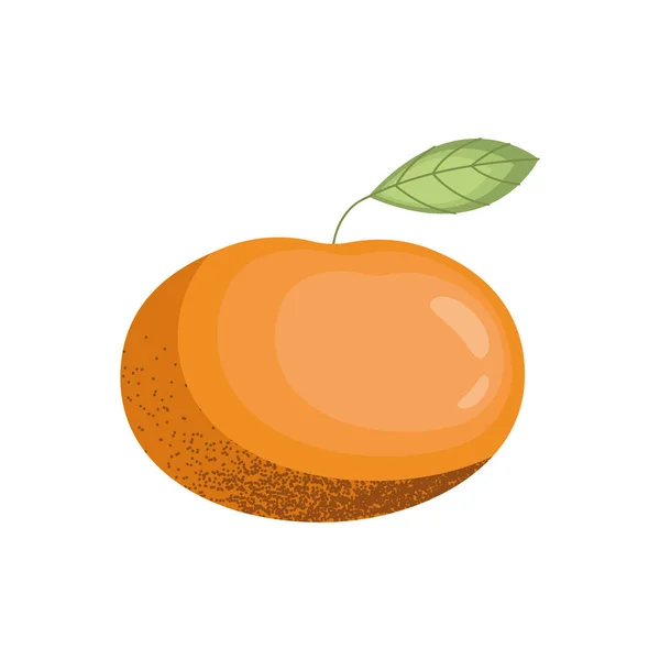 Fruta Fresca Mandarina Icono Saludable — Vector de stock