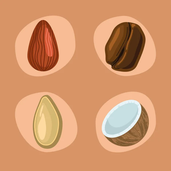 四个坚果和种子图标 — 图库矢量图片