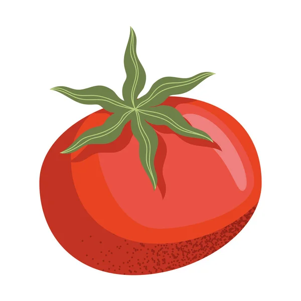 Tomate Fresco Vegetal Alimentos Orgânicos — Vetor de Stock