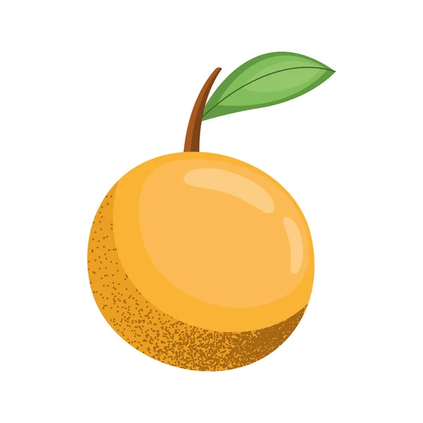 Orange Frisches Obst Gesund Symbol — Stockvektor