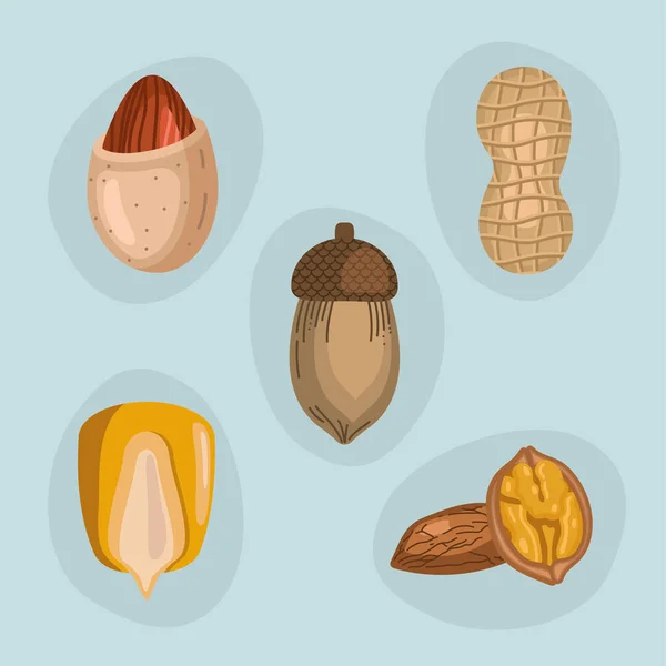 五个坚果和种子图标 — 图库矢量图片