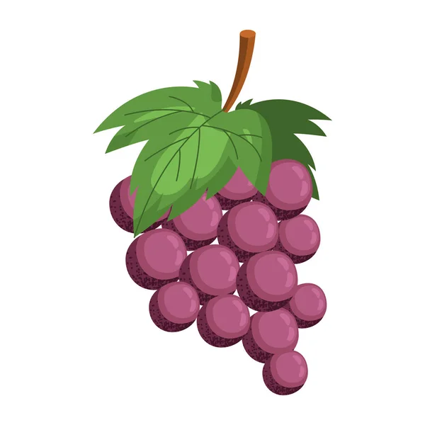 Fresh Grapes Fruit Healthy Icon — Vettoriale Stock