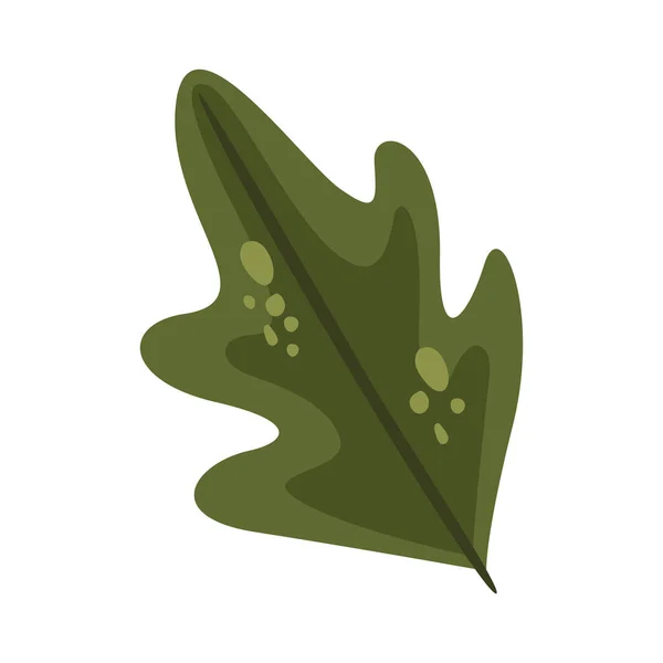 Leaf Plant Foliage Nature Icon — Stockvektor