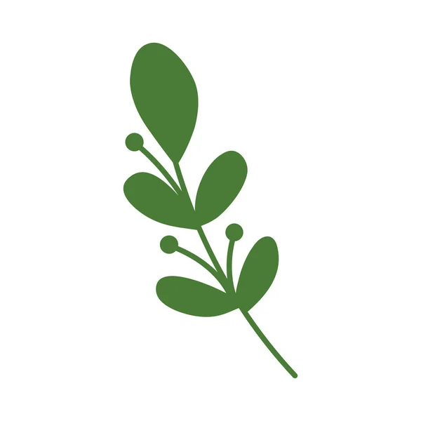 Branch Green Leafs Foliage —  Vetores de Stock
