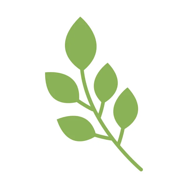 Branch Leafs Foliage Icon — Stock Vector