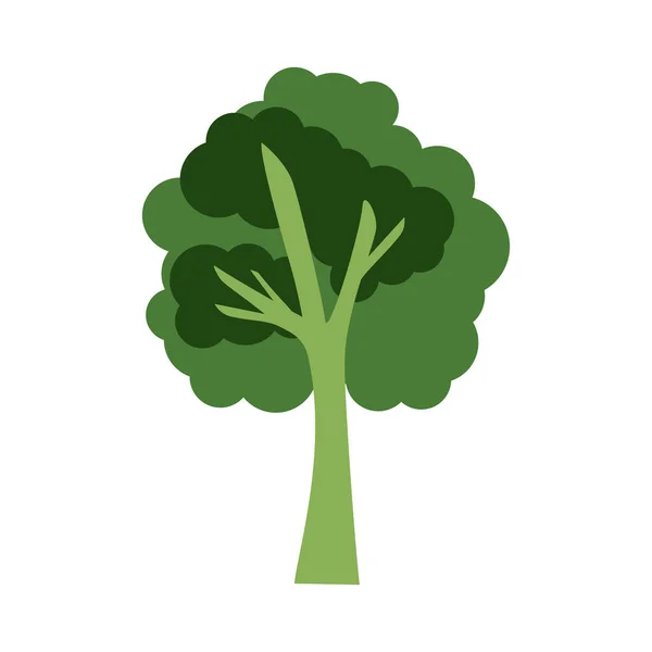 Árbol Planta Verde Ecología Icono — Vector de stock