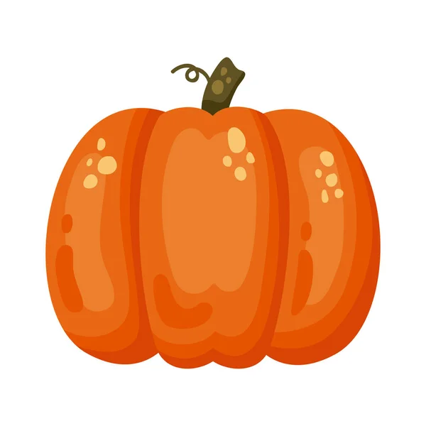 Calabaza Vegetal Otoño Temporada Icono — Archivo Imágenes Vectoriales