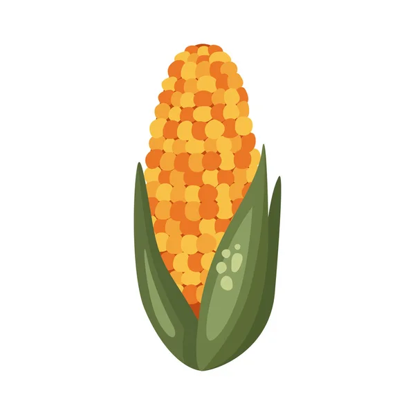 Maïs Légumes Frais Aliments Sains — Image vectorielle